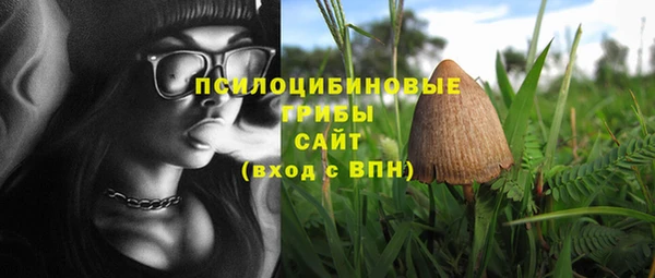спайс Алексеевка